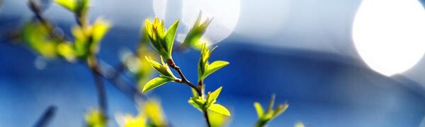 Предпоследние выходные весны в Приморье удивят разнообразием погоды