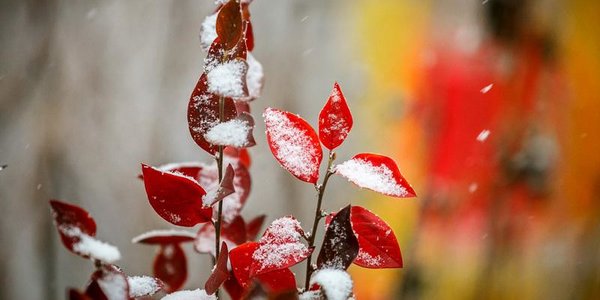 Снежные выходные ожидают жителей Приморья. Подробный прогноз на Примпогоде