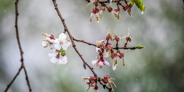 Циклон испортит погоду в Приморье: ожидаются дожди и грозы