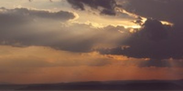 Лето в городе