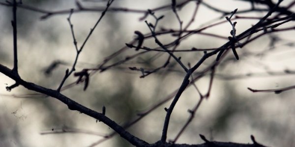 Погода в Приморье постепенно погружается в предзимье