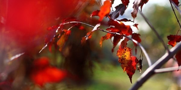 Выходные дни в Приморье будут холодными