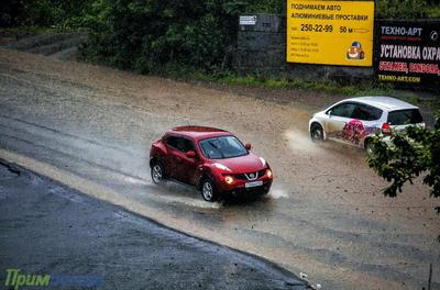 8-9 августа тайфун «Франциско» принесёт в Приморье сильные дожди