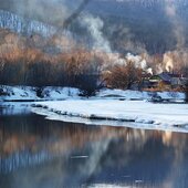Январь в Сихотэ-Алинском заповеднике: морозный и бесснежный