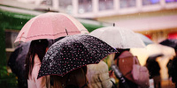 Малоснежные зимы в XXI веке станут нормой