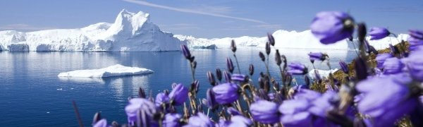 Температура атмосферы за последние 100 лет выросла на 0,74 градуса