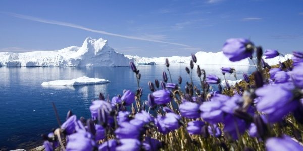 Температура атмосферы за последние 100 лет выросла на 0,74 градуса