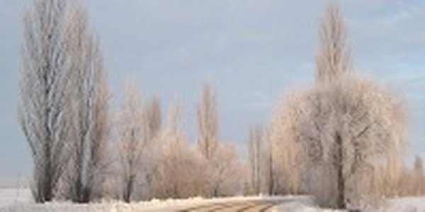 Погоду на юге Дальнего Востока завтра будет определять циклон