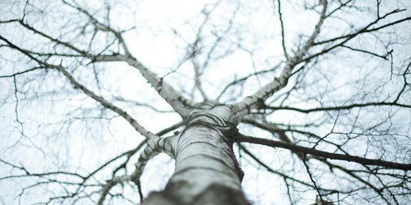 Дожди и небольшое похолодание: погода в Приморье на 28 марта