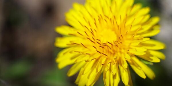 Чем дышал Владивосток с 1 по 15 мая?