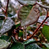 Октябрь в Сихотэ-Алинском заповеднике – время листопада