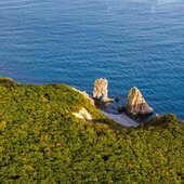 Октябрь в Сихотэ-Алинском заповеднике – время листопада