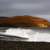 Октябрь в Сихотэ-Алинском заповеднике – время листопада