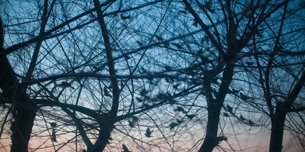 В ночные часы морозы во Владивостоке усилятся до −14 °C