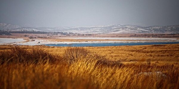 Пик похолодания в Приморье придётся на середину недели