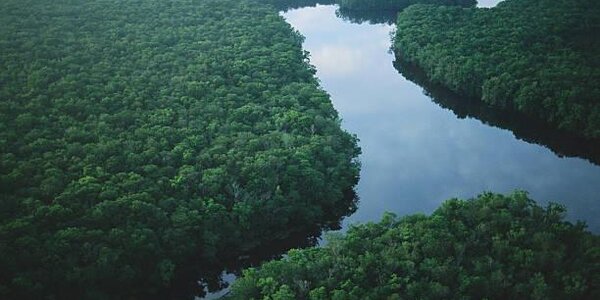 Интенсивный спад воды в реках Приморья ожидается с 25 августа