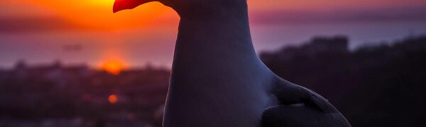 24 июля во Владивостоке был установлен новый рекорд тепла