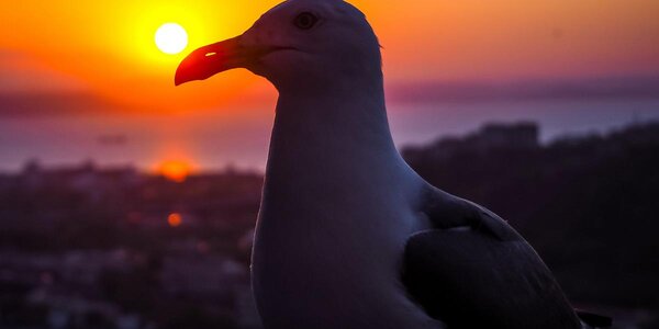 24 июля во Владивостоке был установлен новый рекорд тепла