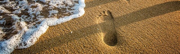 Ученые: отдых на природе способствует ожирению