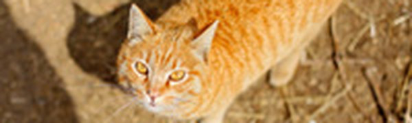 Вчера в Приморье было по-весеннему тепло