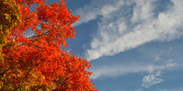 В выходные погода баловала жителей Приморского края