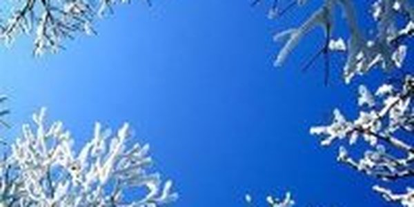 Ждут ли Приморье крещенские морозы?