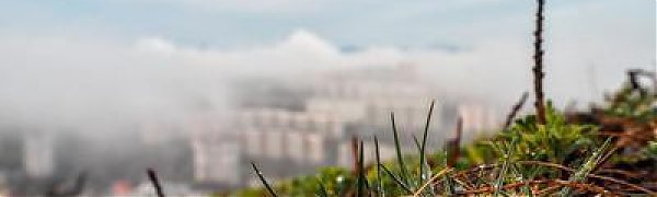 Сегодня во Владивостоке наблюдается дымка