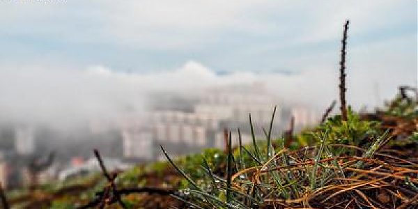 Сегодня во Владивостоке наблюдается дымка