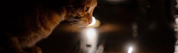 В результате тайфуна «Хайшен» почти 6000 человек остались без света в Приморье