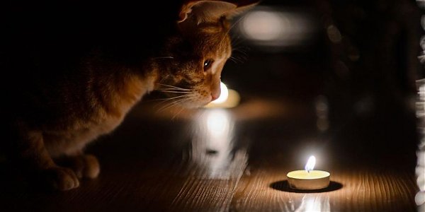 В результате тайфуна «Хайшен» почти 6000 человек остались без света в Приморье