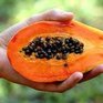 Экзотические фрукты и овощи «оздоравливают» диеты