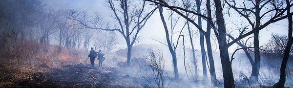 Лесные пожары начались в Приморье из-за малоснежной зимы
