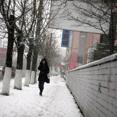Осенний снег на улицах Владивостока (ФОТО)