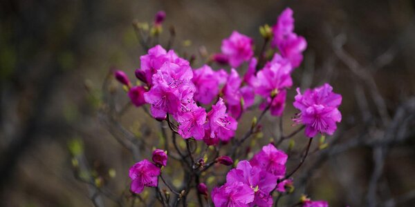 В воскресенье в Приморье ожидается существенное похолодание