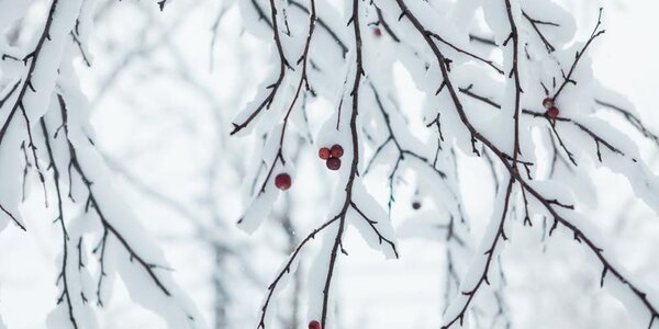 За сутки в Приморье выпало до 1,8 месячной нормы осадков