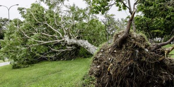 В Хабаровском крае готовятся к приходу тайфуна «Гони»