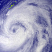 В Тихом океане зародился новый тайфун 