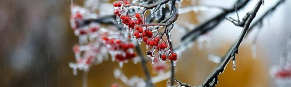 Из-за «ледяного дождя» в Чувашии введён режим ЧС