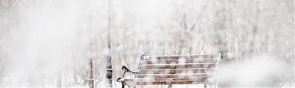 В Приморье торопится снежный циклон