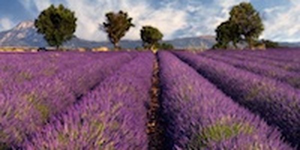 Где самый лучший климат на планете?