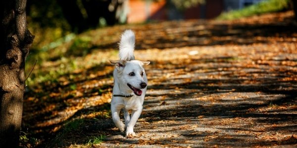 Температура воздуха в Приморье приблизилась к климатической норме