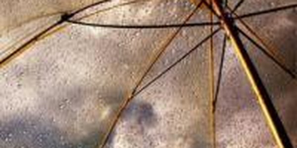 Дожди различной интенсивности идут в Приморье