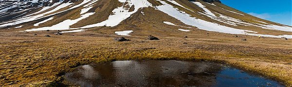 Глобальное потепление грозит России масштабными бедствиями