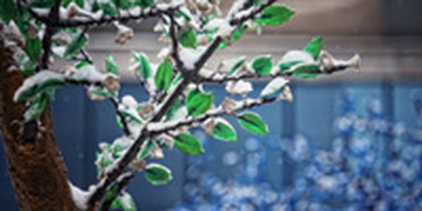 Март в России стал самым холодным в XXI веке