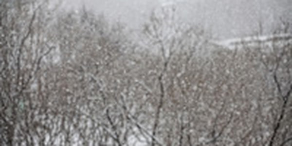 Снег во Владивостоке вызван конвективными облаками