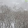 Снег во Владивостоке вызван конвективными облаками