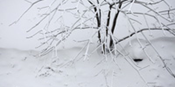 Снежный покров установился на всех метеостанциях Приморья