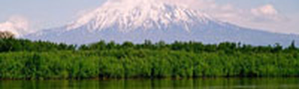 Землетрясение магнитудой 6.6 произошло у берегов Камчатки