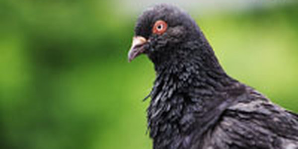 Во Владивостоке в выходные было пасмурно