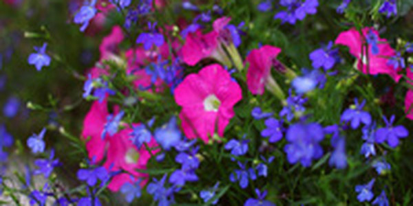 Сегодня над Приморьем располагается область повышенного давления